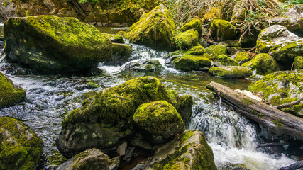 Fototapeta premium Stream or creek flowing between mossy rocks, water, autumn, Ireland