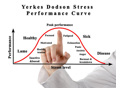 Yerkes Dodson Stress Performance Curve.