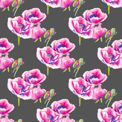seamless pattern. Poppy flowers. Pattern of flowers. Pink poppies. Isolated pattern