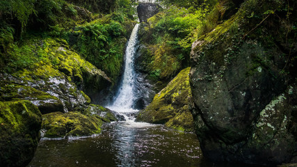 Stream or creek flowing between mossy rocks, water, autumn, Ireland