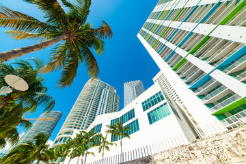Fototapeta na wymiar Skyscrapers and palm trees in beautiful downtown Miami