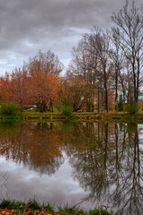 Fototapeta na wymiar Trees with yellow and red leaves on the banks of the pond in the autumn park are reflected in the water.