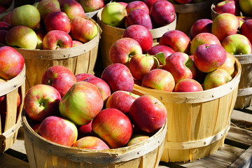 Baskets of fresh apples at a farmers market in the fall