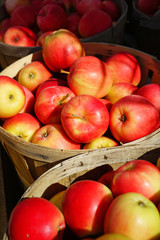 Baskets of fresh apples at a farmers market in the fall