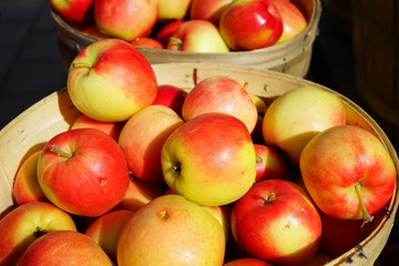 Naklejka na ściany i meble Baskets of fresh apples at a farmers market in the fall