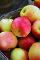 Baskets of fresh apples at a farmers market in the fall