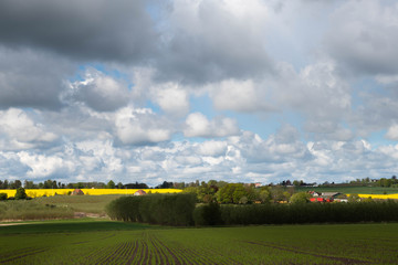 Clouds over farming fields in Oelsted (Ølsted), Denmark, Scandinavia, Europe