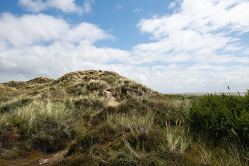 Sand dunes by the beach in Soenderho (Sønderho) on Fanoe (Fanø), Denmark, Scandinavia, Europe