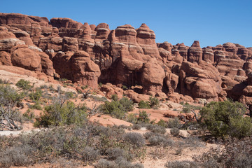 Desert plants and shrubs surrounding eroded sandstone peaks