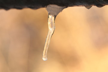 Eiszapfen
