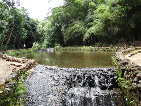 Waterfall With Stones, Vegetation And Trees Around In The Park Of Mangabeiras - Belo Horizonte -MG- Brazil