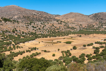 Fototapeta na wymiar Elounda, Crete, Greece. October 2019. Farming on a plateau on the Old National road which runs high in the mountains above Elounda, Crete.
