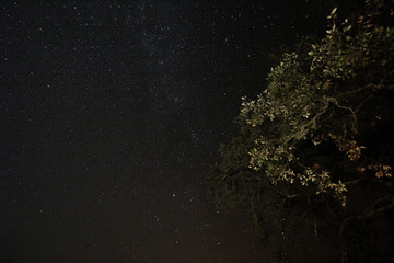 Night shot with stars on a night sky background