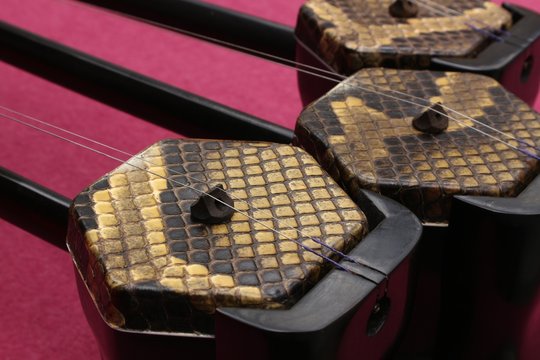 Close Up Of Chinese Musical Instrument Erhu