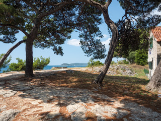 Split. Croatia - August 2019: A park on a sunny day