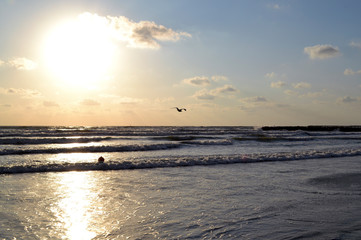 Naklejka premium Romantic summer seascape at Black Sea, Eastern Europe