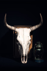 Cabeza de toro 