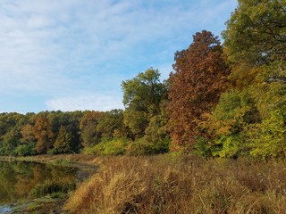 Autumn Lake Landscape