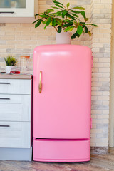 Retro style pink fridge in vintage kitchen