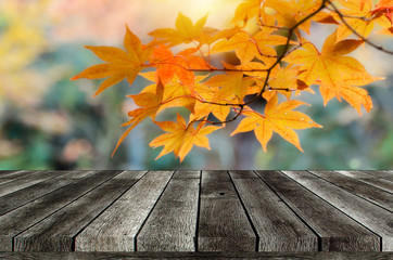 Naklejka na ściany i meble empty wooden top table or terrace with beautiful autumn colorful red and yellow maple leaves background, copy space for display product or object presentation, marketing and advertisement concept