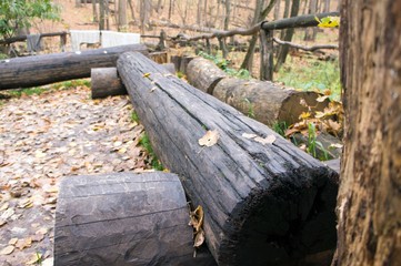 Bench for travelers in the woods, made of logs