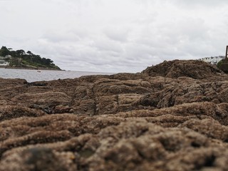 Fowey River