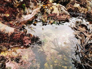 Rock and Sea in Cornwall
