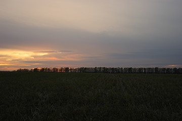 sunset over field
