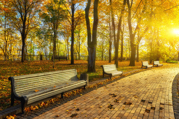 Park with bench on alley in autumn