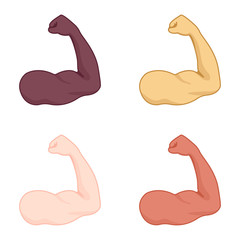 Set of strong arms with biceps muscle with skin color option. Bodybuilders of diverse nationalities. Human body anatomy icon. Multinational sport and fitness concept. Vector illustration.