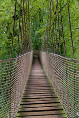 Naklejka premium Rope bridge - Alnwick Gardens UK