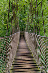 Rope bridge - Alnwick Gardens UK