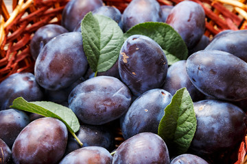 ripe plums close-up
