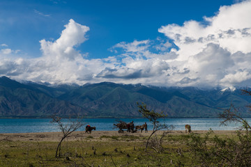 Issyk kul lake with children and wagon silhouette and mountains on background