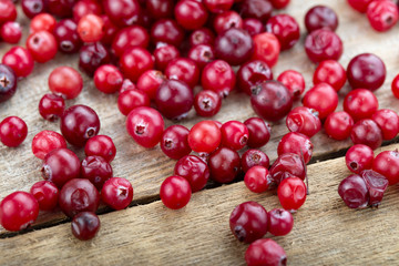 raw cranberries scattered on the table