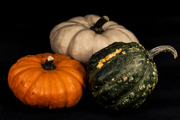 Colorful pumpkins in fall