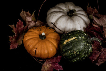Colorful pumpkins in fall