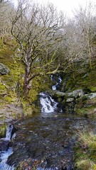 Welsh river fall in the winter