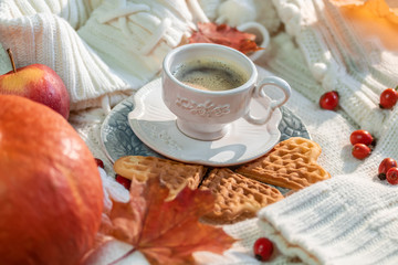 Autumn, fall leaves, a hot steaming cup of coffee, pumpkin and a warm sweater on a wooden table background.