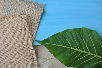 Syngonium podophyllum.Leaves of money flow.Syngonium podophyllum texture.