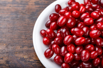dogwood in a plate