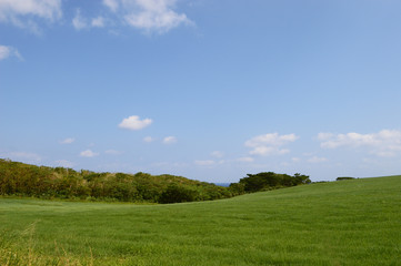 青い空と緑の草原