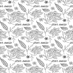 Star anise spices outline seamless pattern on white background, vector