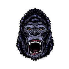 Colorful dangerous angry gorilla head © DGIM studio