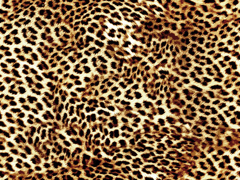 leopard seamless pattern brown color illistration texture design