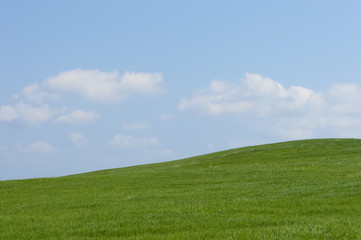 青い空と緑の草原