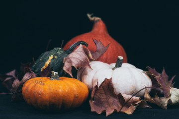 Colorful pumpkins in fall