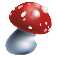 Vector illustration of a red mushroom - toadstool.