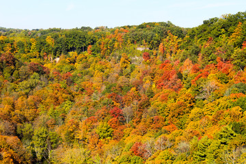 Niagara Escarpment in fall