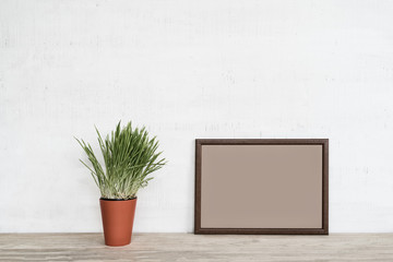 Empty frame on white wall. Place for text, green houseplant.